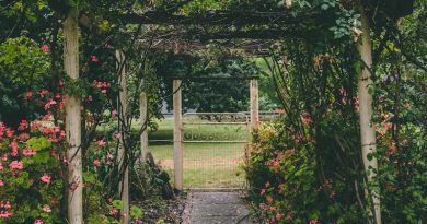 white and brown wooden garden arbor