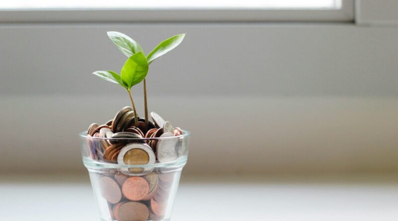 green plant in clear glass cup